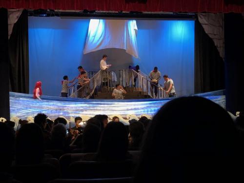 Students participating in school activities
