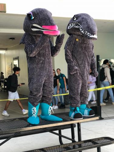 Student Activities around the reef